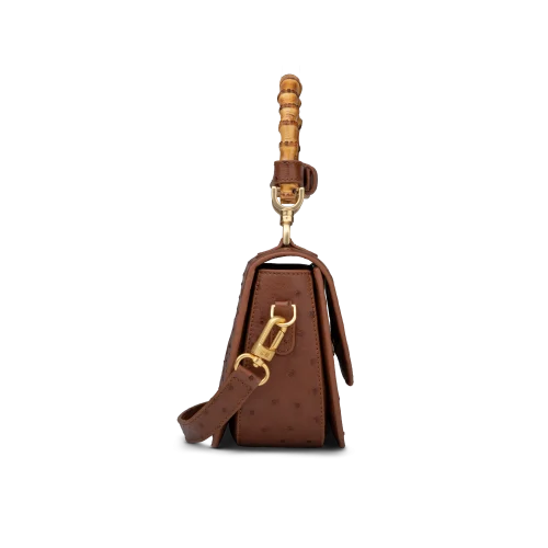 ای جی فنسی بامبو لاکچری