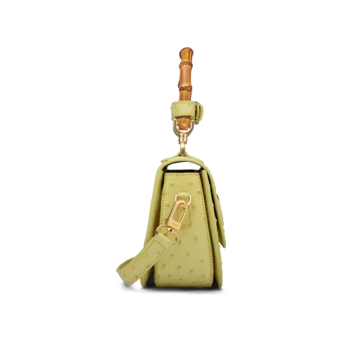 ای جی فنسی بامبو لاکچری