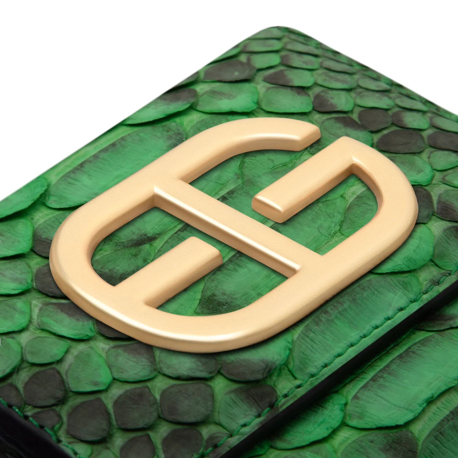3-fold-python-neon green (4) 3 fold python neon green 4