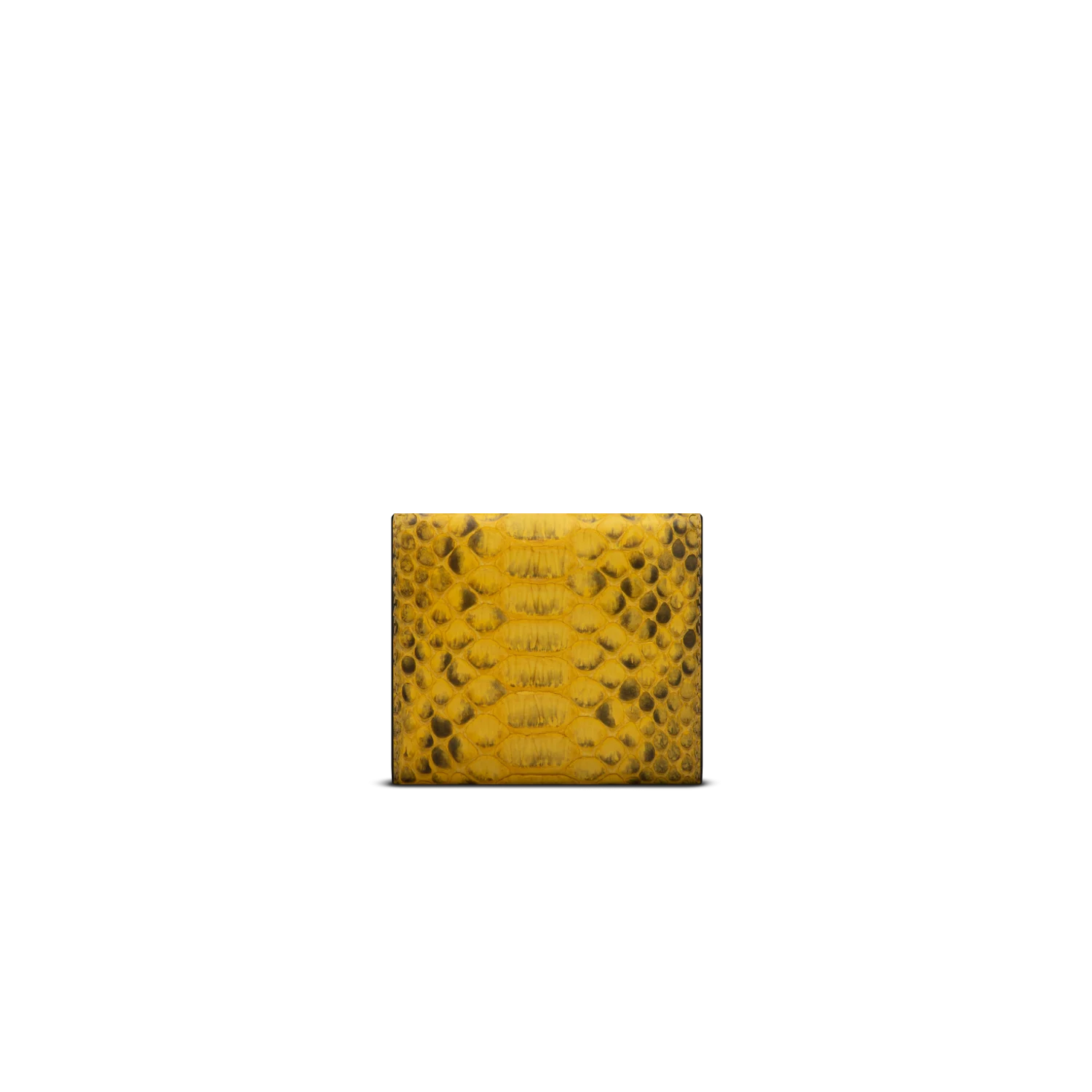 3-fold-python-yellow (2) 3 fold python yellow 2