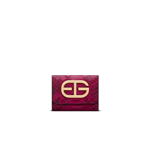 کیف پول تویین پایتون