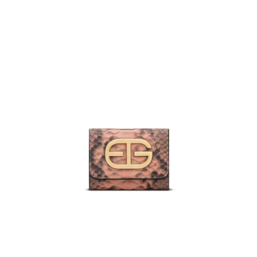 کیف پول تویین پایتون