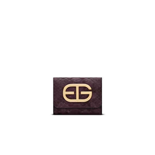 کیف پول تویین پایتون