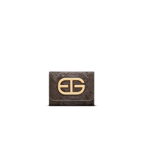 کیف پول تویین پایتون
